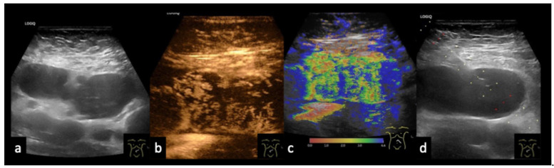 Figure 16