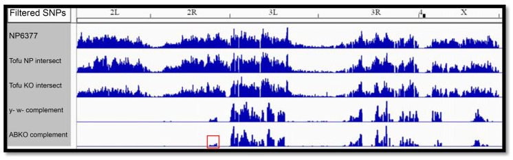 Figure 6