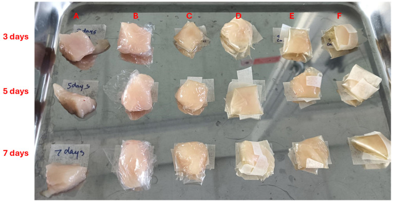 Figure 10