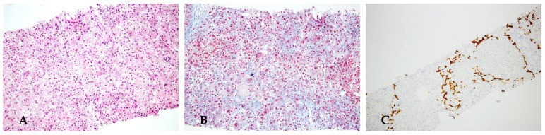 Figure 10