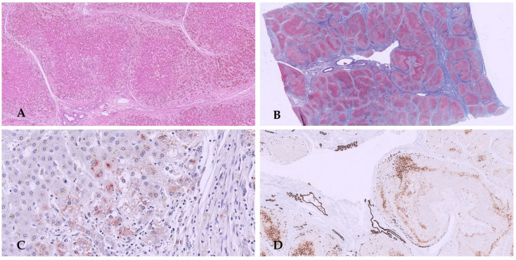 Figure 13