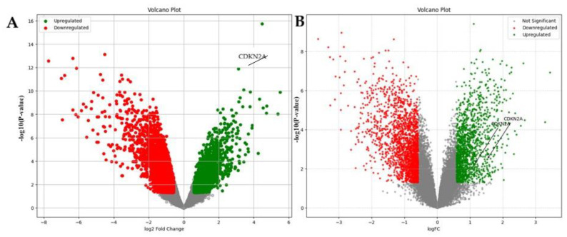 Figure 11