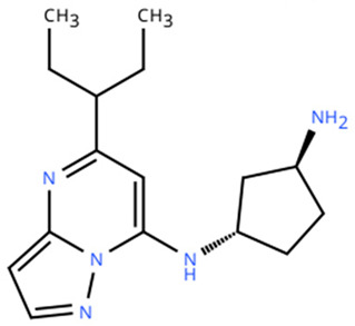 Figure 22