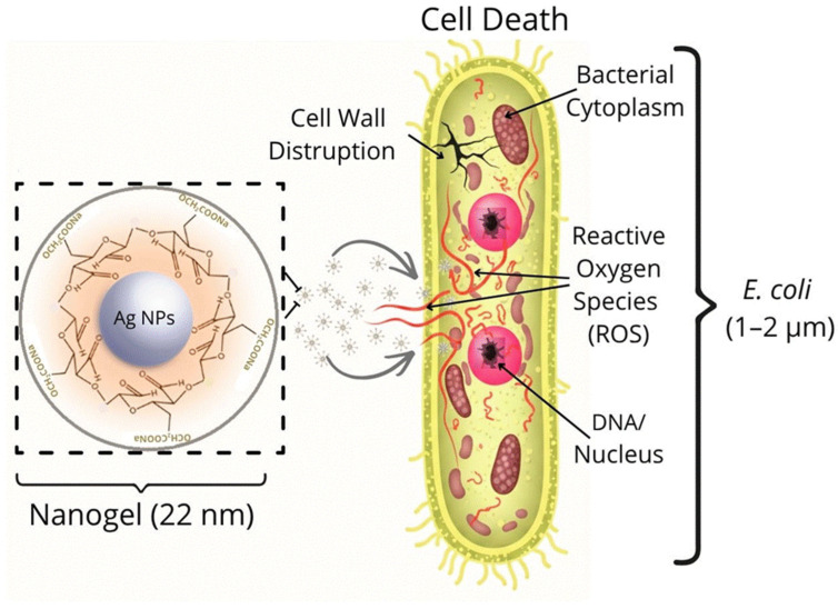 Figure 5