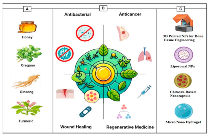 Figure 12