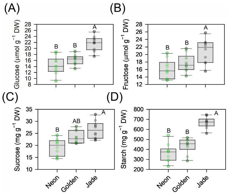 Figure 11