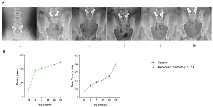 Figure 13