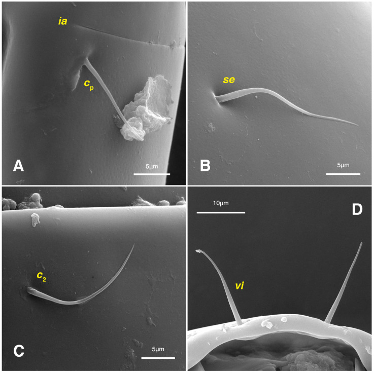 Figure 10