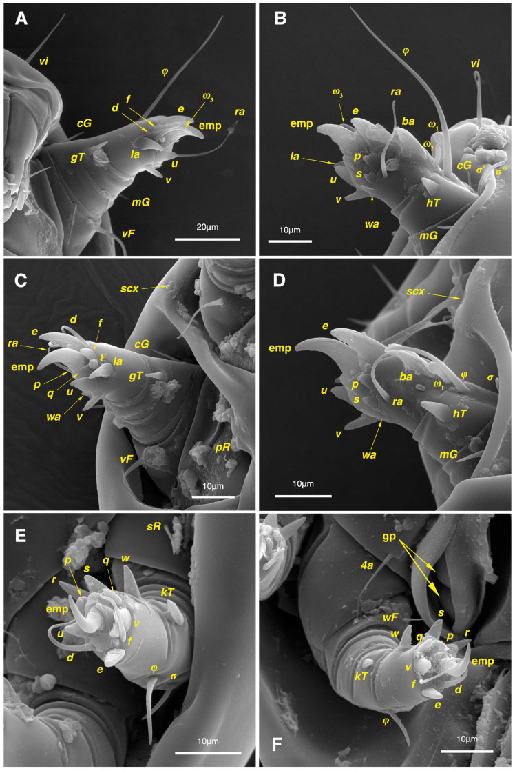 Figure 12