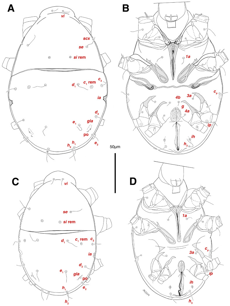 Figure 13