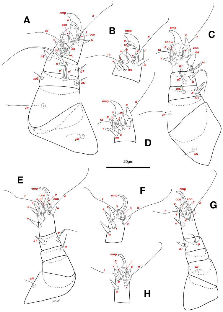 Figure 14