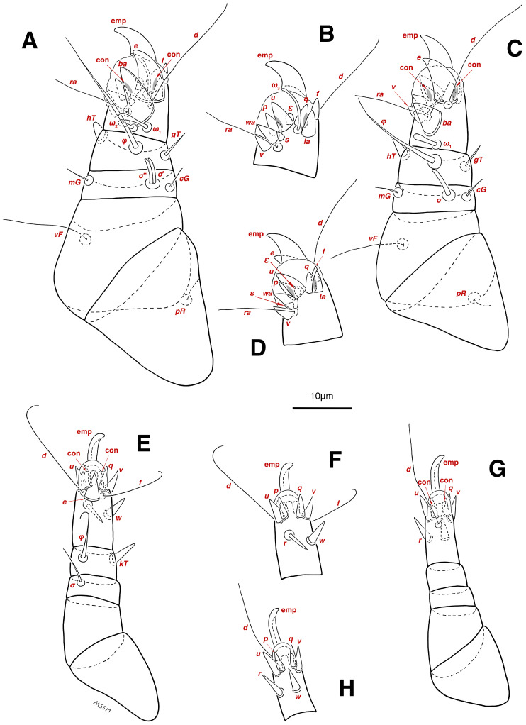 Figure 15