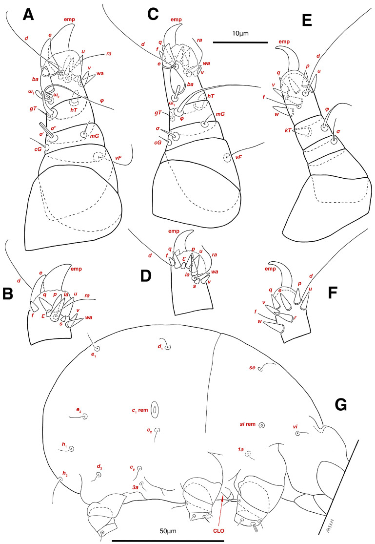 Figure 16