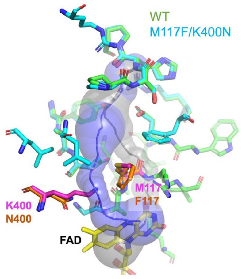 Figure 5