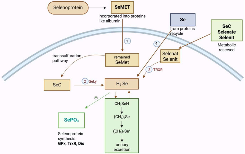 Figure 2