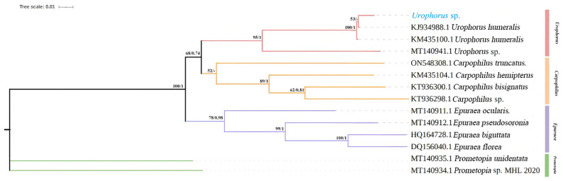 Figure 4