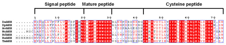 Figure 17