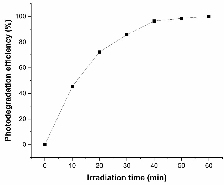 Figure 10