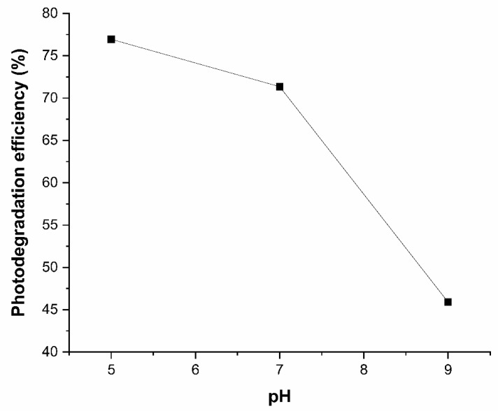 Figure 12