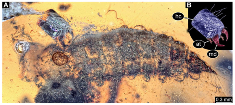 Figure 12