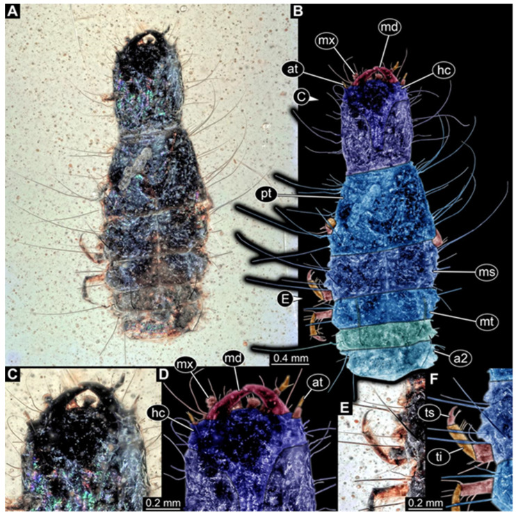 Figure 13