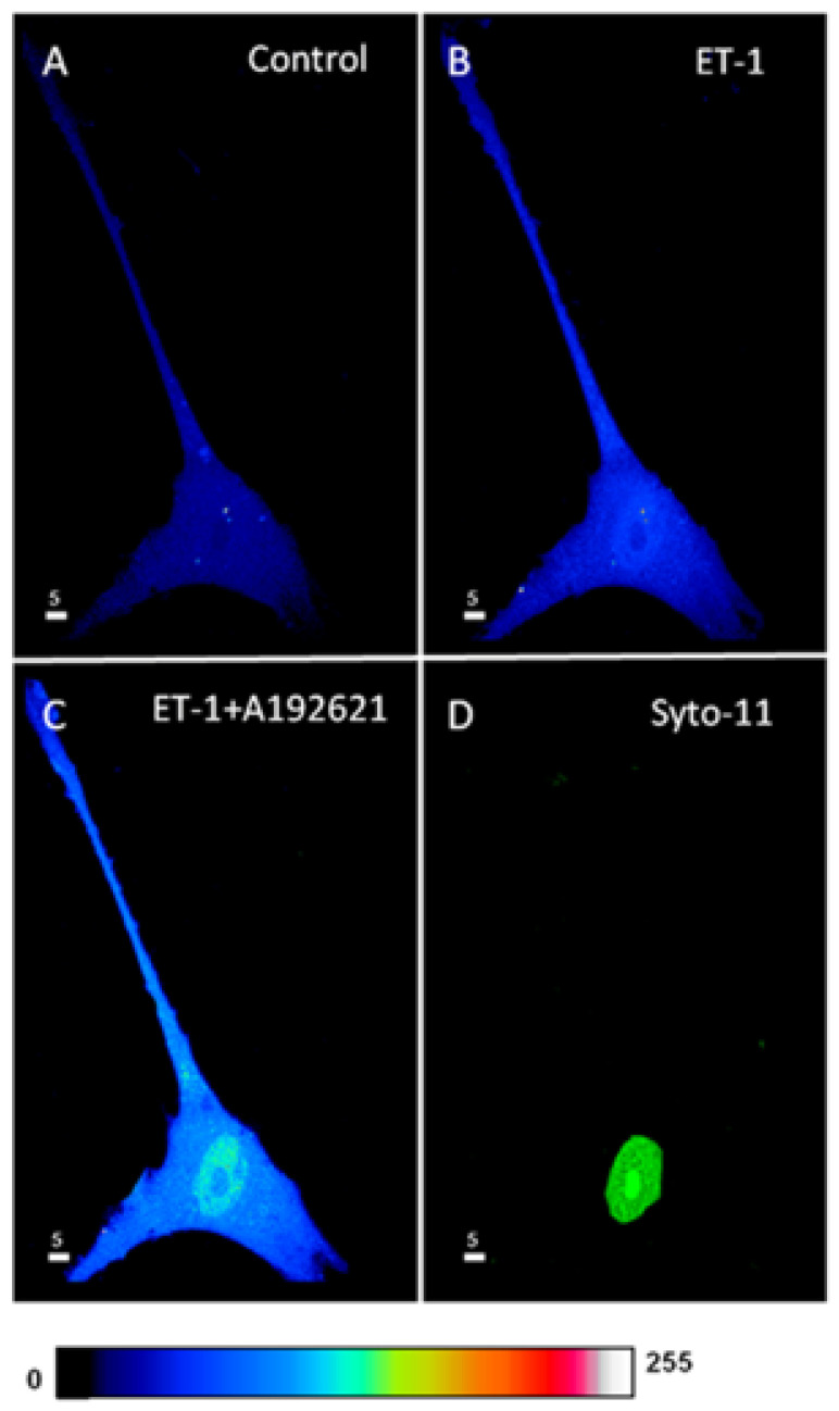 Figure 9
