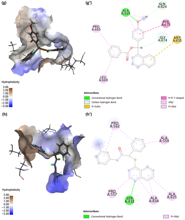Figure 12