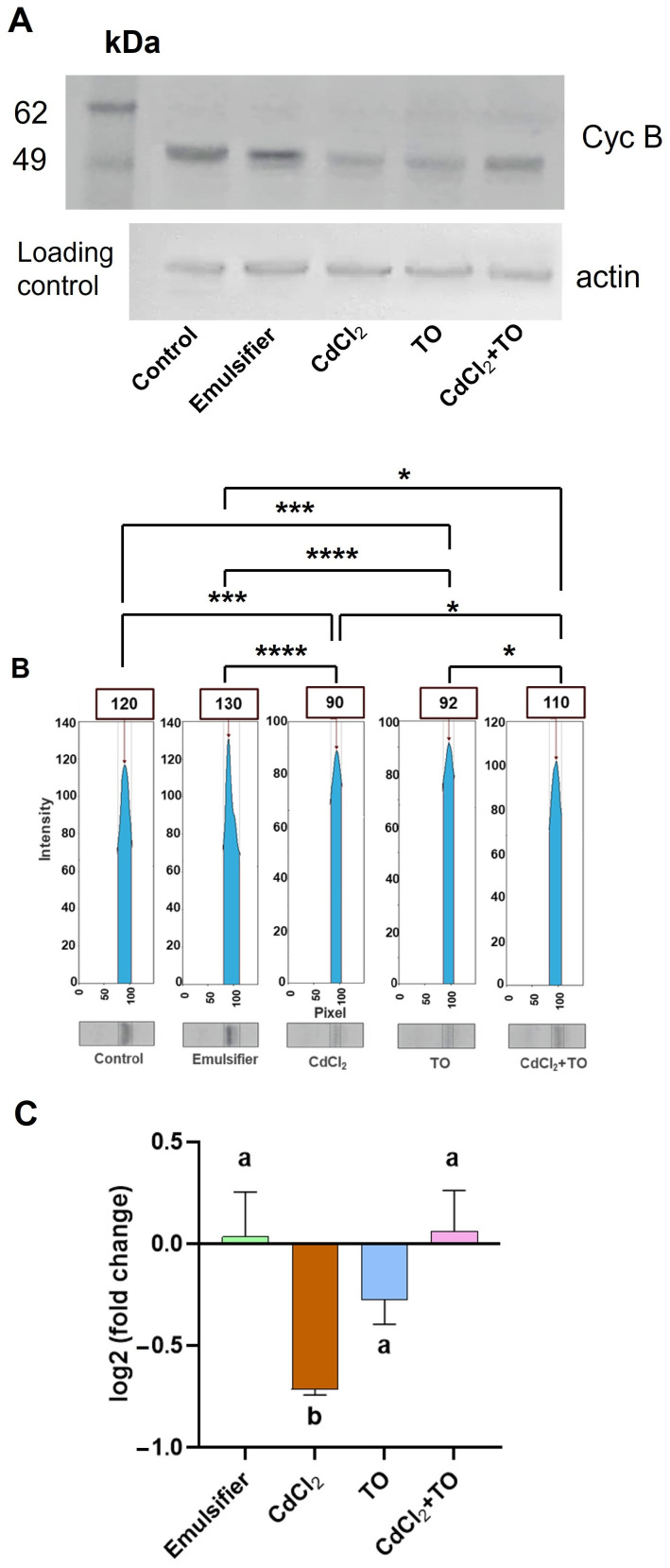 Figure 5