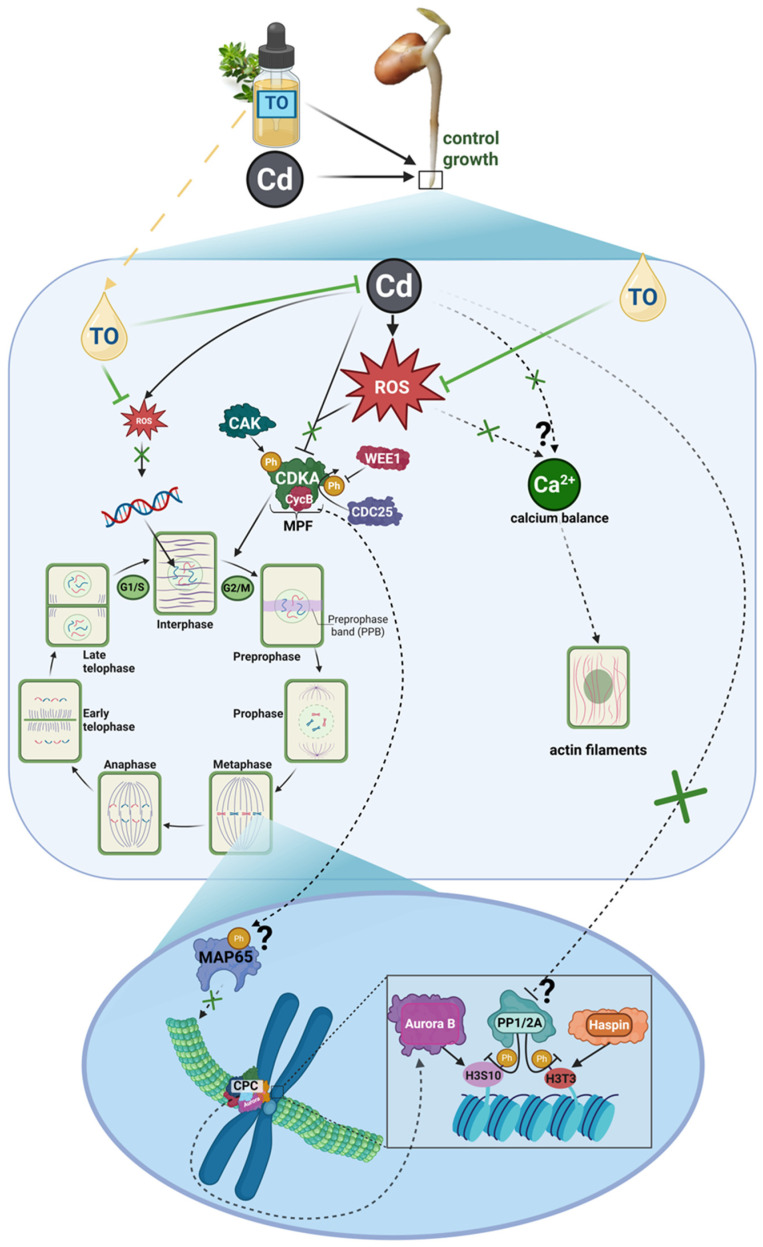Figure 15