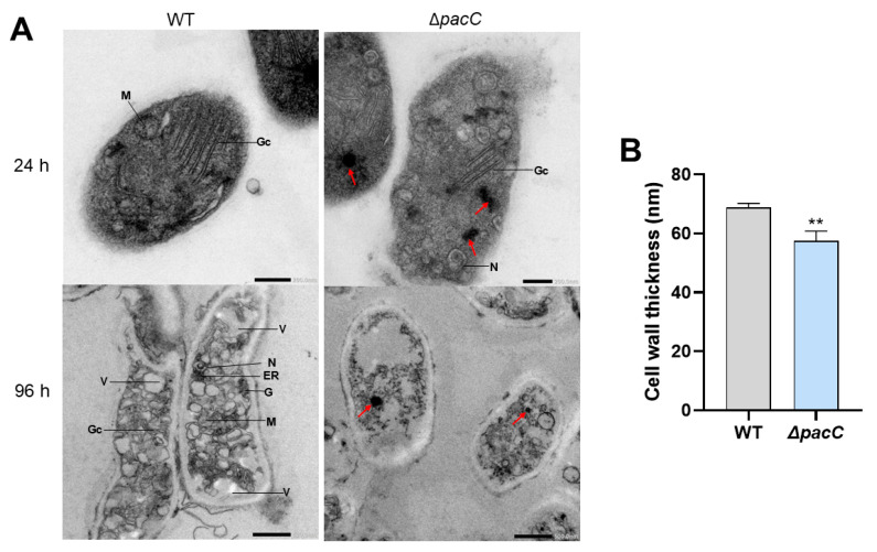 Figure 9