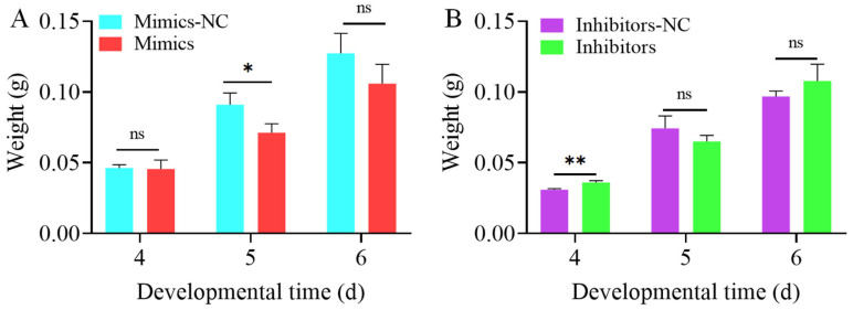 Figure 5