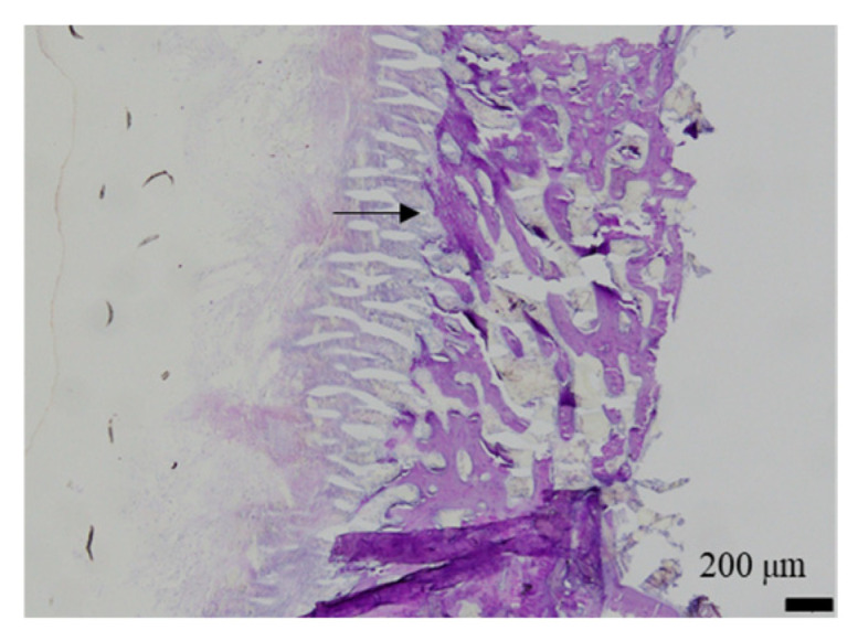 Figure 15