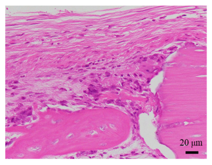Figure 16