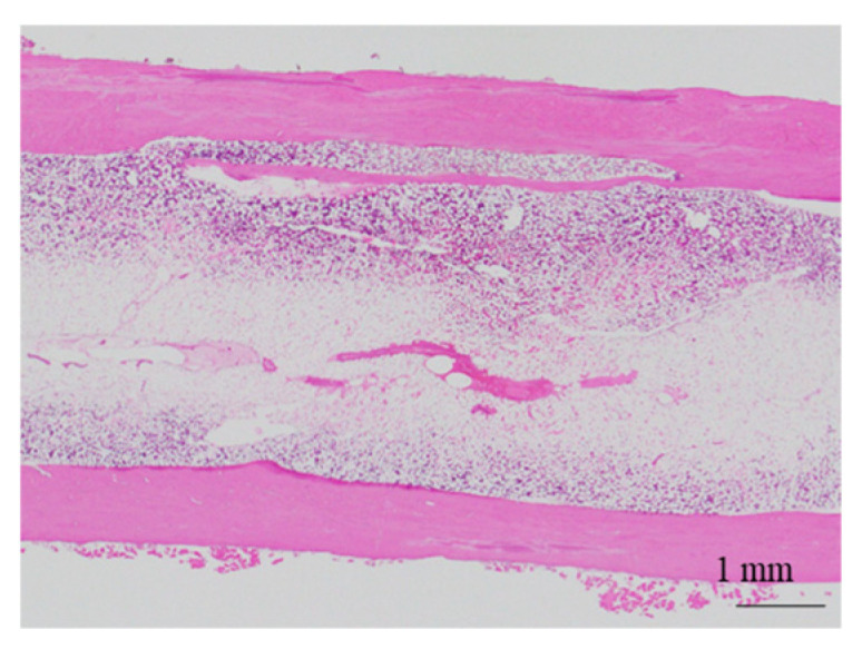 Figure 19