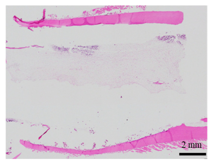 Figure 20