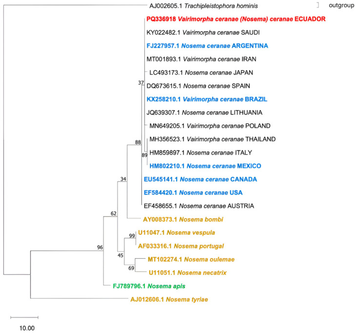 Figure 2
