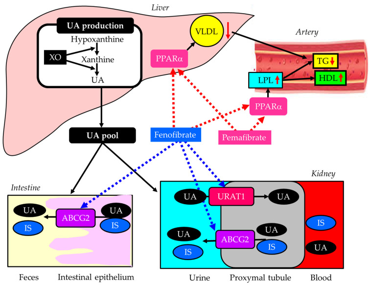 Figure 6