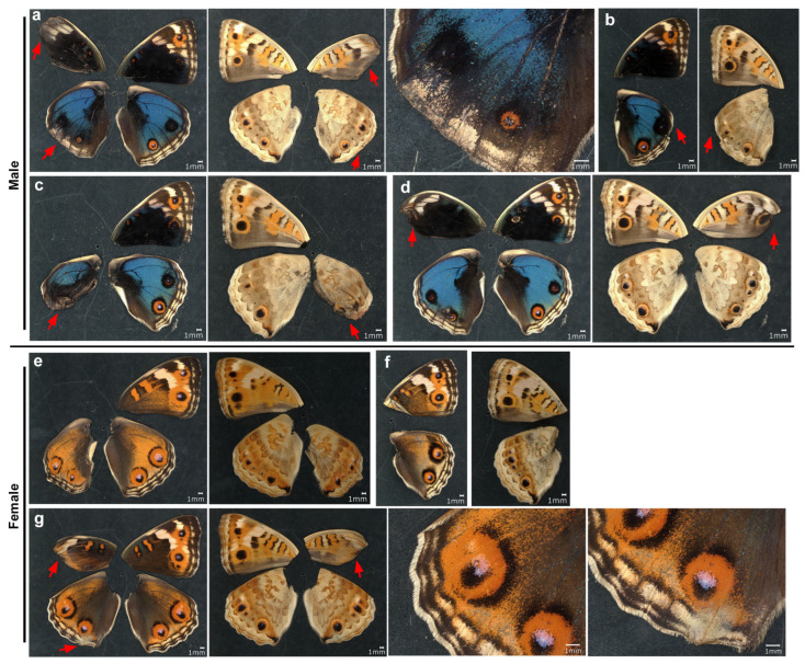 Figure 10