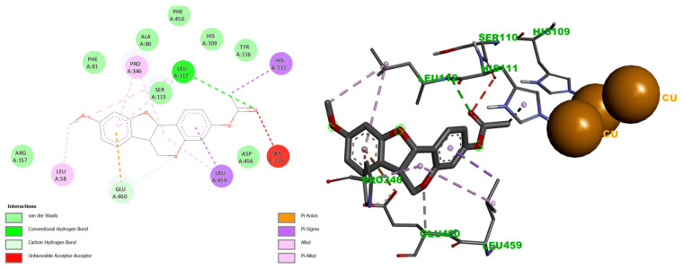 Figure 6