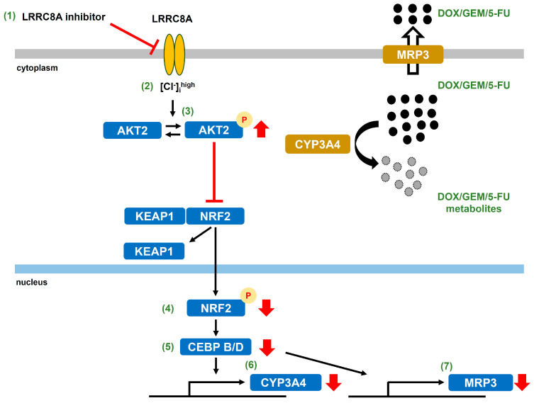 Figure 17
