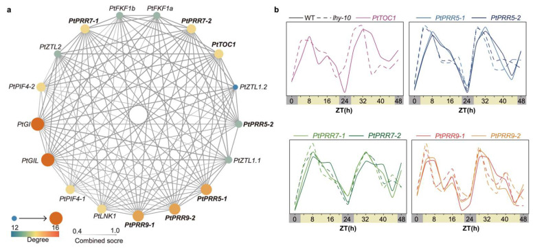 Figure 6