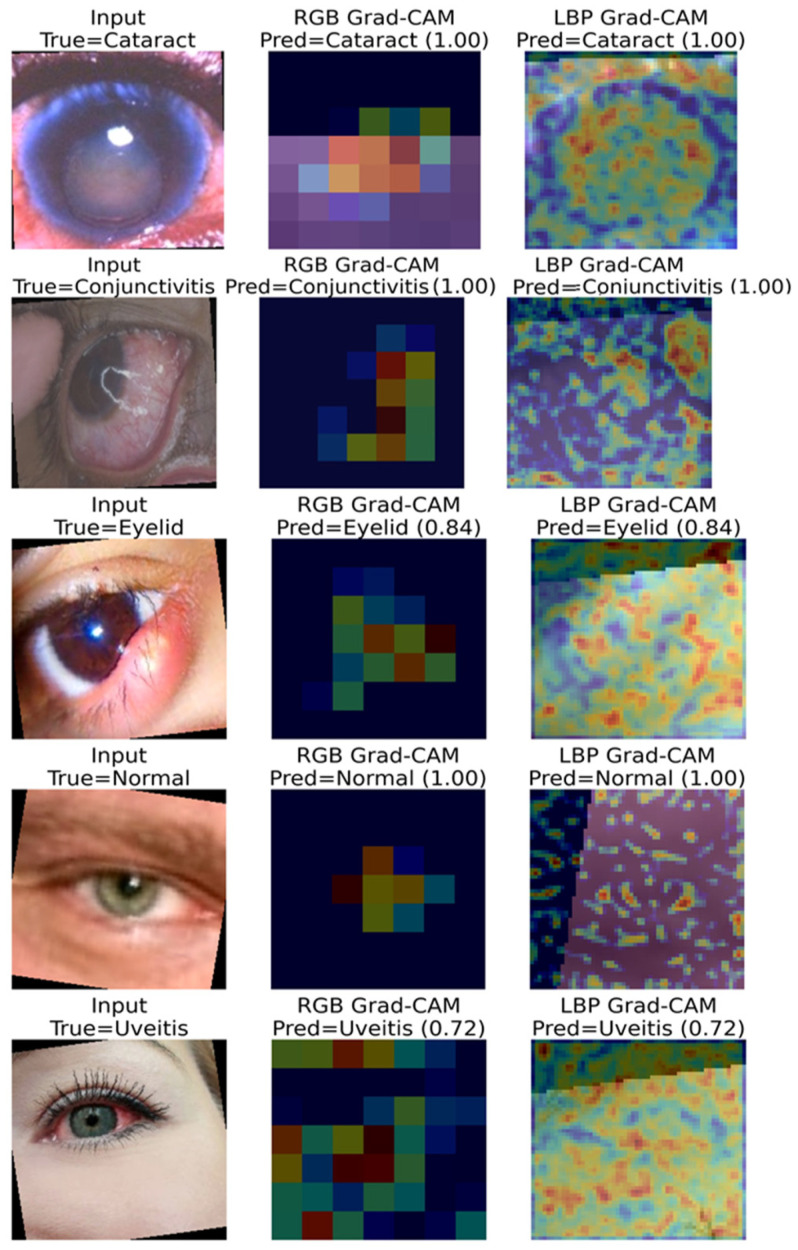Figure 12