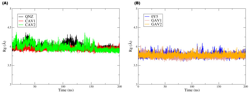 Figure 12