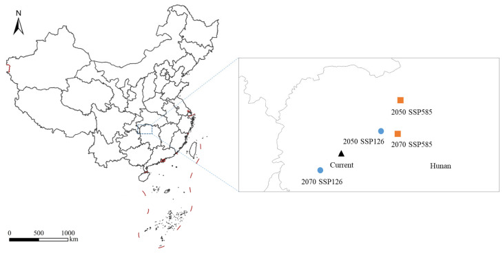 Figure 11