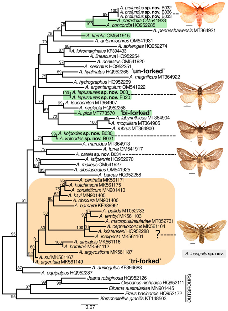 Figure 2