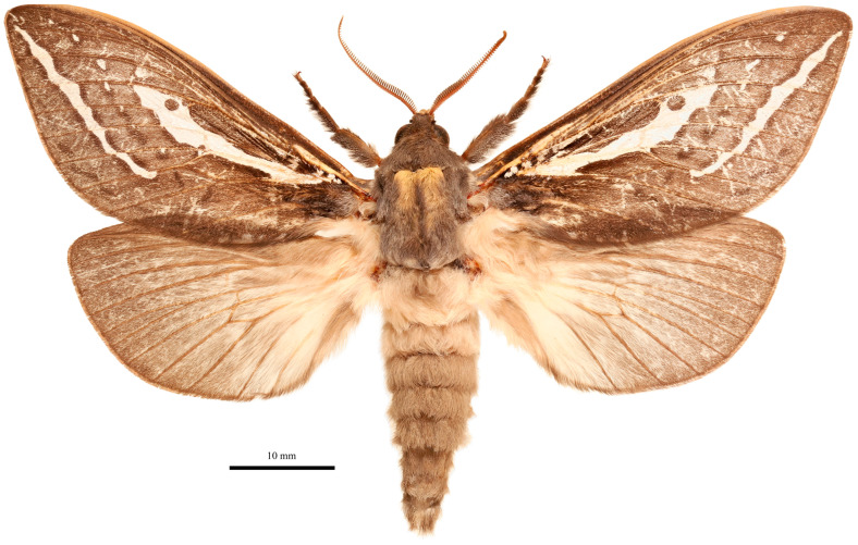 Figure 3