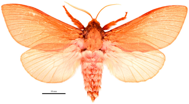 Figure 9