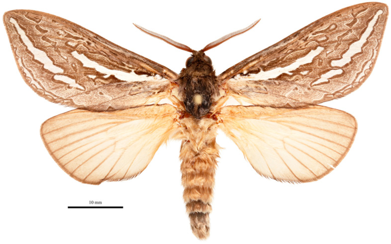 Figure 12