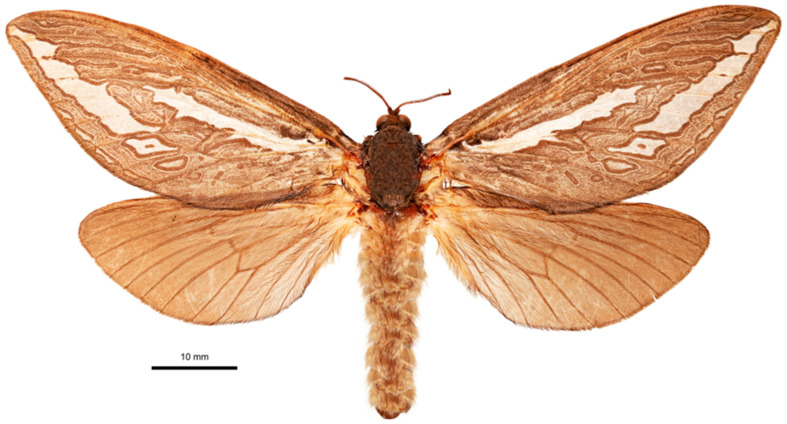 Figure 13