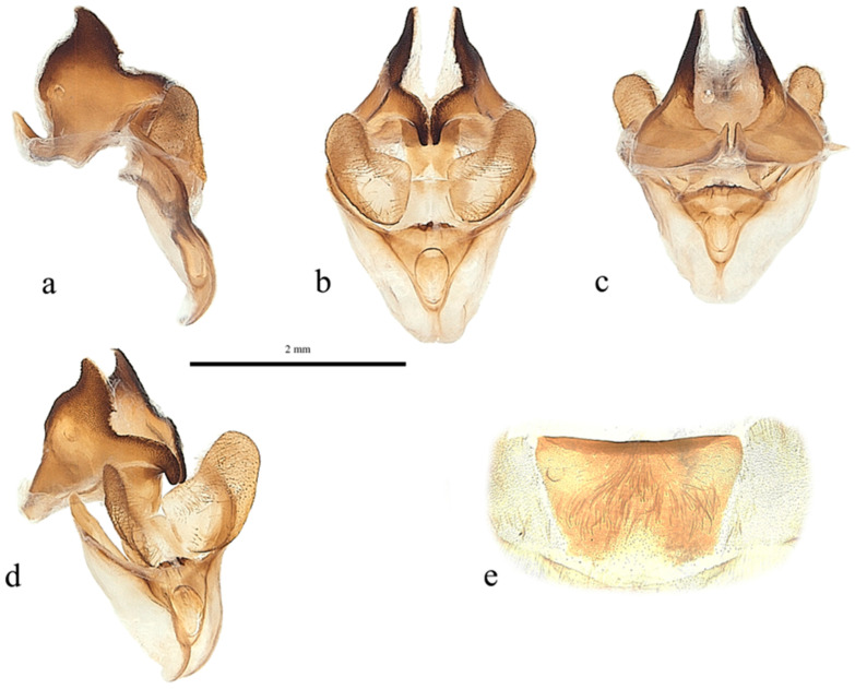 Figure 15